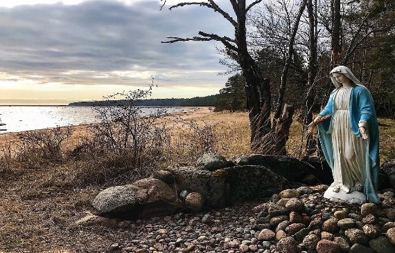 在森林里租一间斯堪的纳维亚风格的房子。